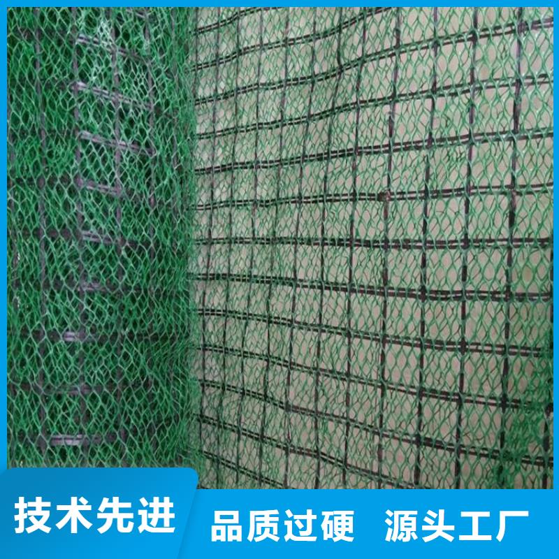 三维土工网垫-EM3三维固土网垫实力雄厚品质保障