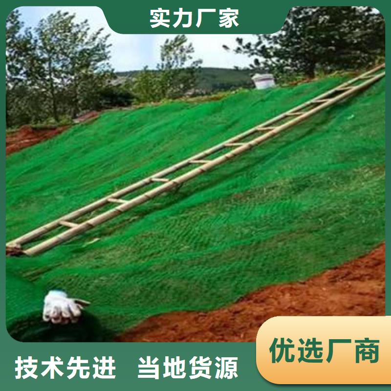 淮安三维土工网垫-三维护坡植草网垫