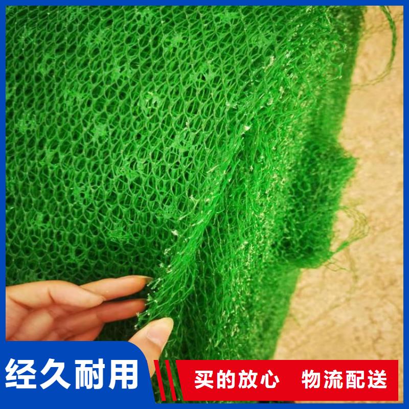阳泉三维加筋网垫-三维土工网垫