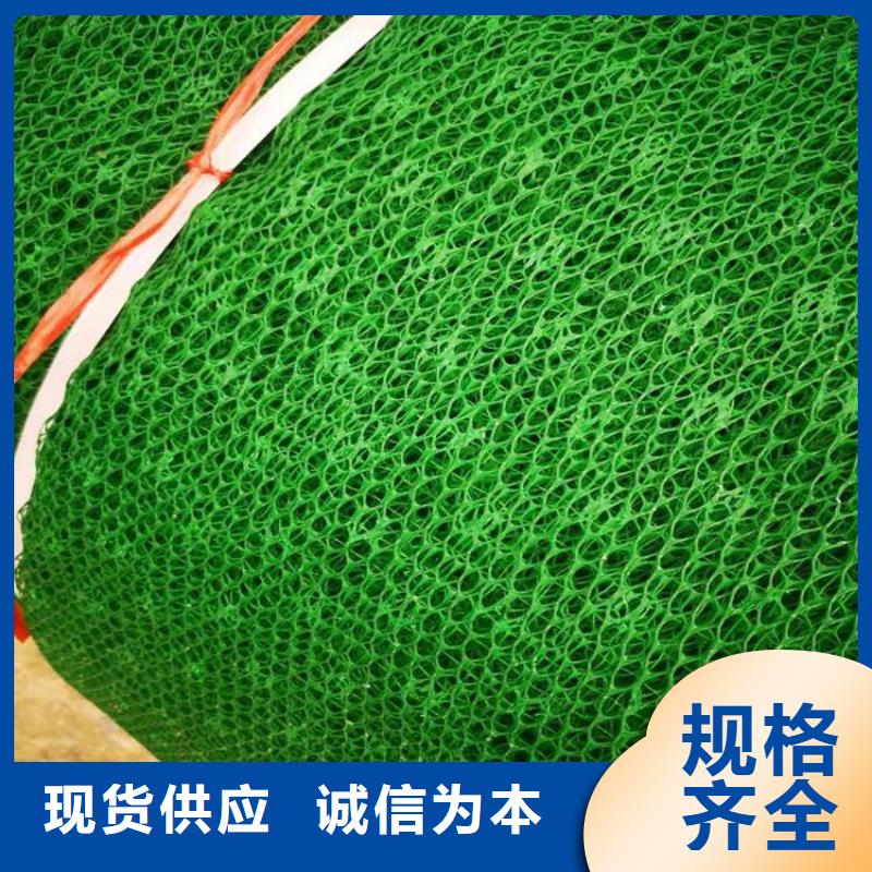 果洛三维植被网-三维固土网垫