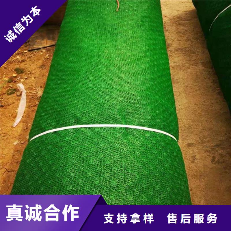 郑州三维植被网-EM3三维土工网垫