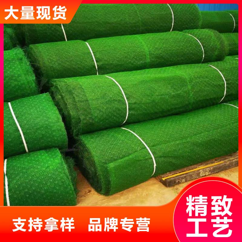 郴州三维加筋网垫-加筋三维土工网垫