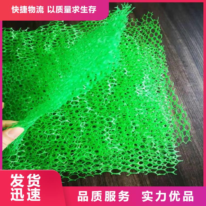 桂林三维护坡植草网垫-加筋三维土工网垫