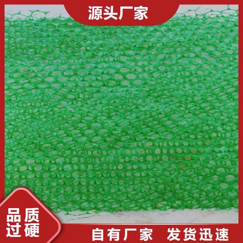 锦州三维固土网垫三维加筋网垫