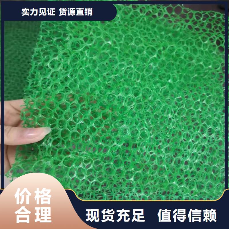 岳阳塑料护坡三维植被网
