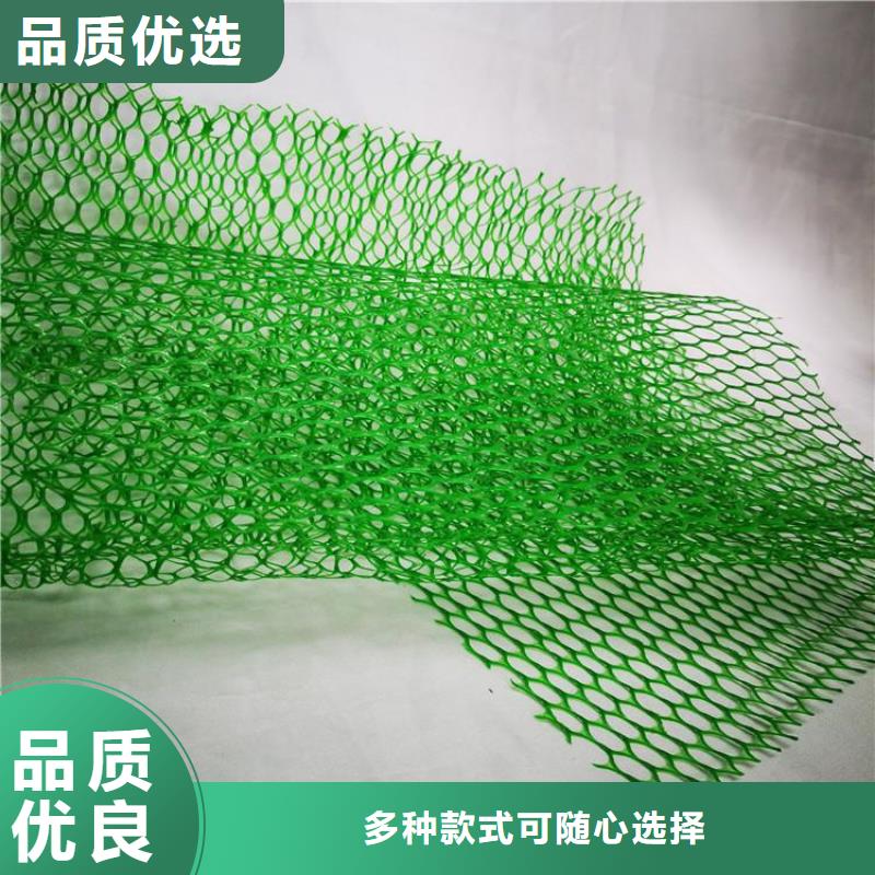 重庆三维土工网垫-EM3三维加筋网垫