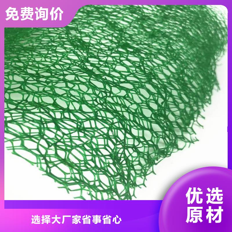 三维固土网垫-护坡三维植被网把实惠留给您