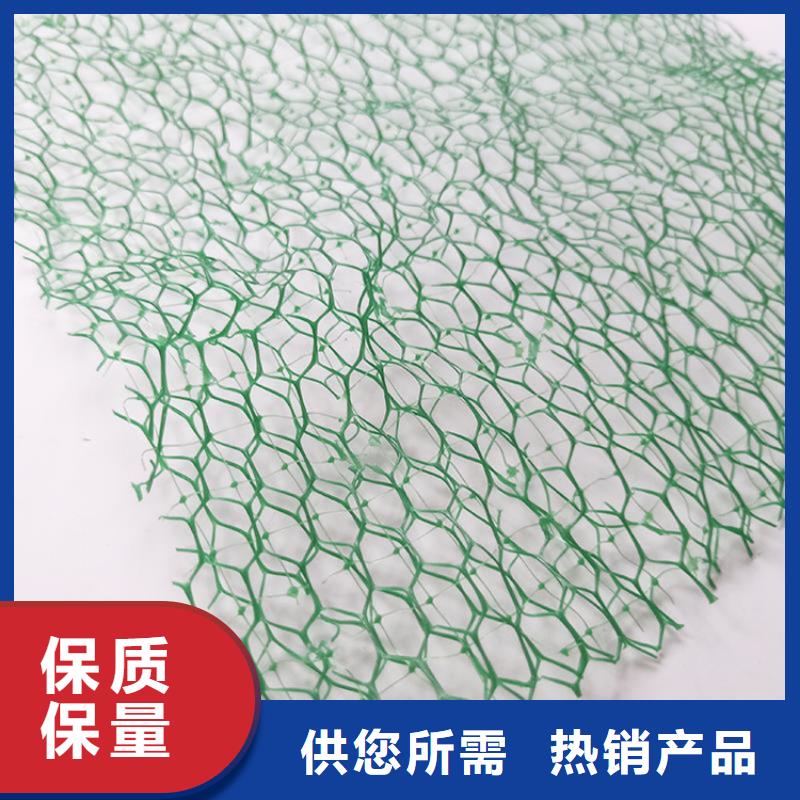 郑州三维土工网垫-EM3三维固土网垫