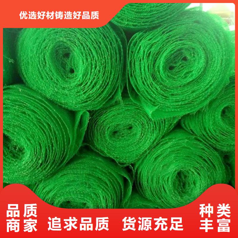 河源EM3三维加筋网垫-绿色三维植被网