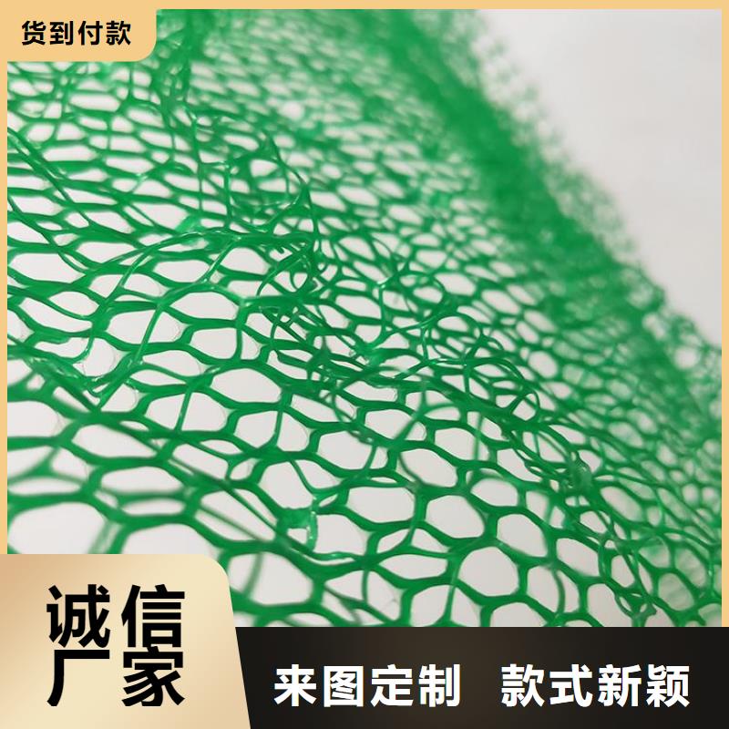 普洱三维土工网垫-三维加筋网垫