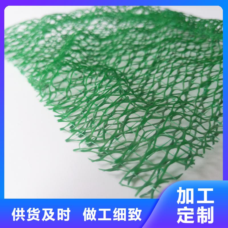 莆田三维植被网-EM3三维加筋网垫