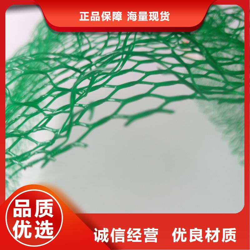杭州绿化护坡三维固土网垫