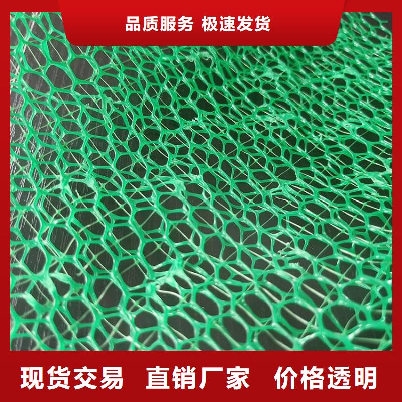 三维护坡植草网垫-三维网垫自产自销