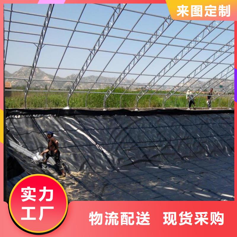 北京隧道防渗土工膜市场经销