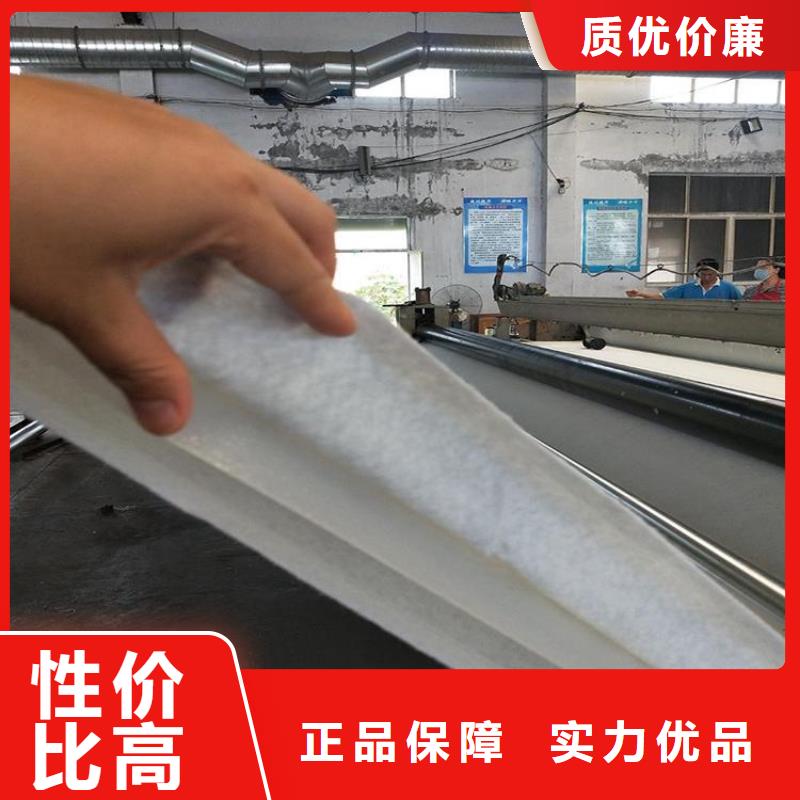 惠州无纺土工布-100g土工布-边坡防护土工布