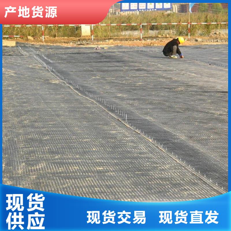 内蒙古玻纤土工格栅-土工钢塑格栅-PE土工格栅