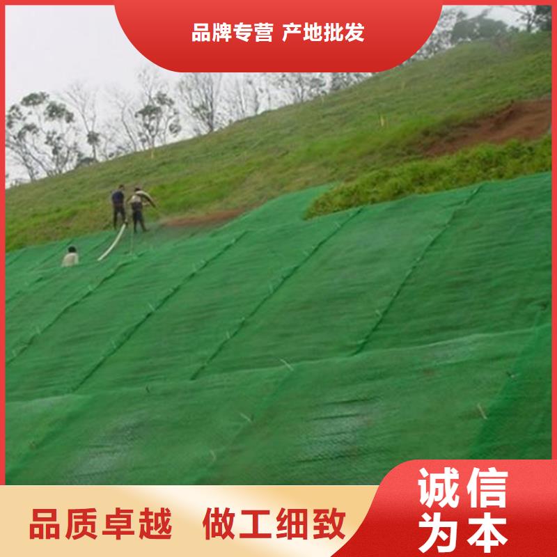绿化固土三维护坡加筋网垫免费回电