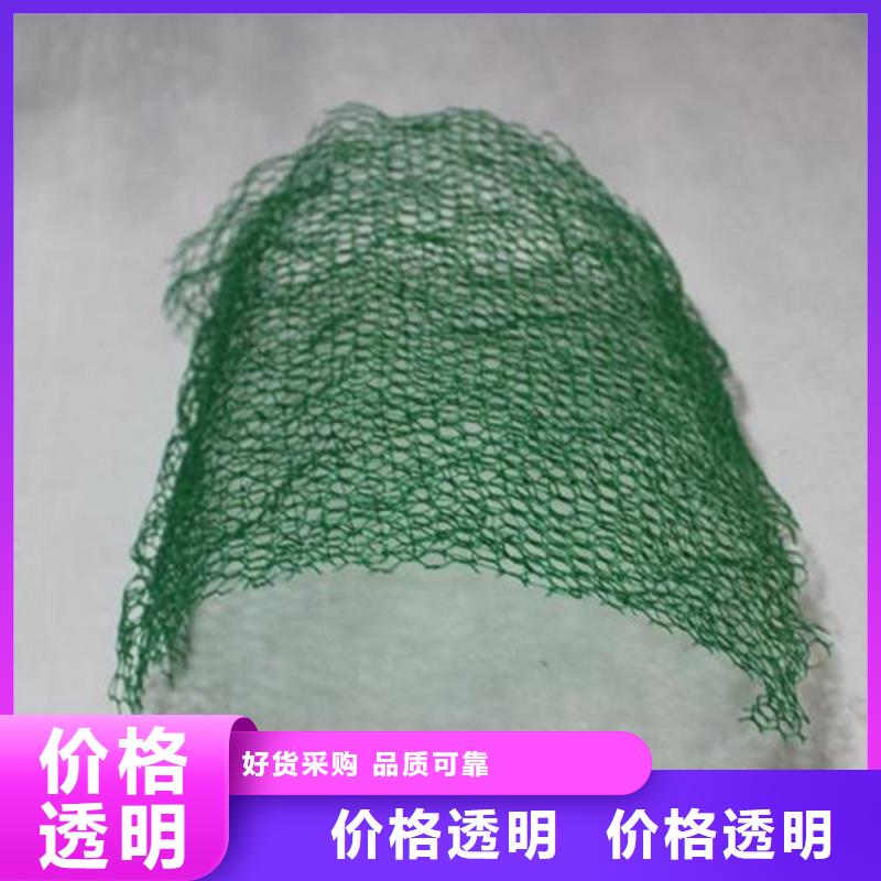 绿化塑料加筋护坡网垫设计合理