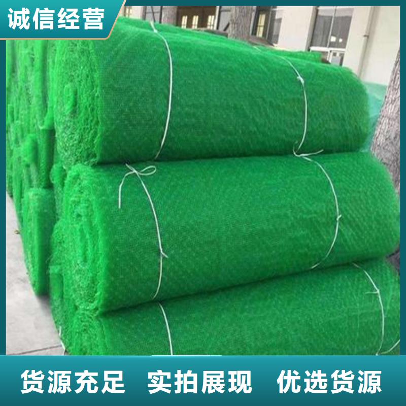 EM2塑料加筋护坡网垫符合行业标准