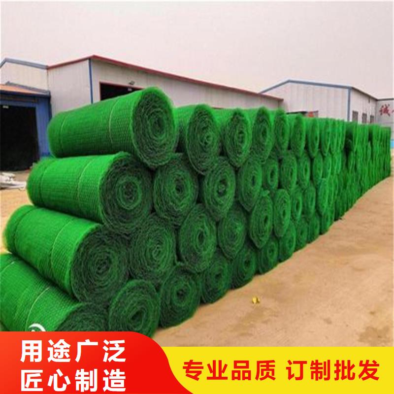三维加筋植草网垫可定制本地生产厂家