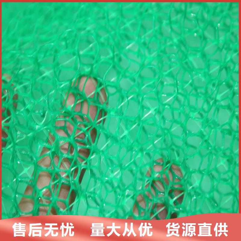 三维固土网垫规格拉力质检合格出厂
