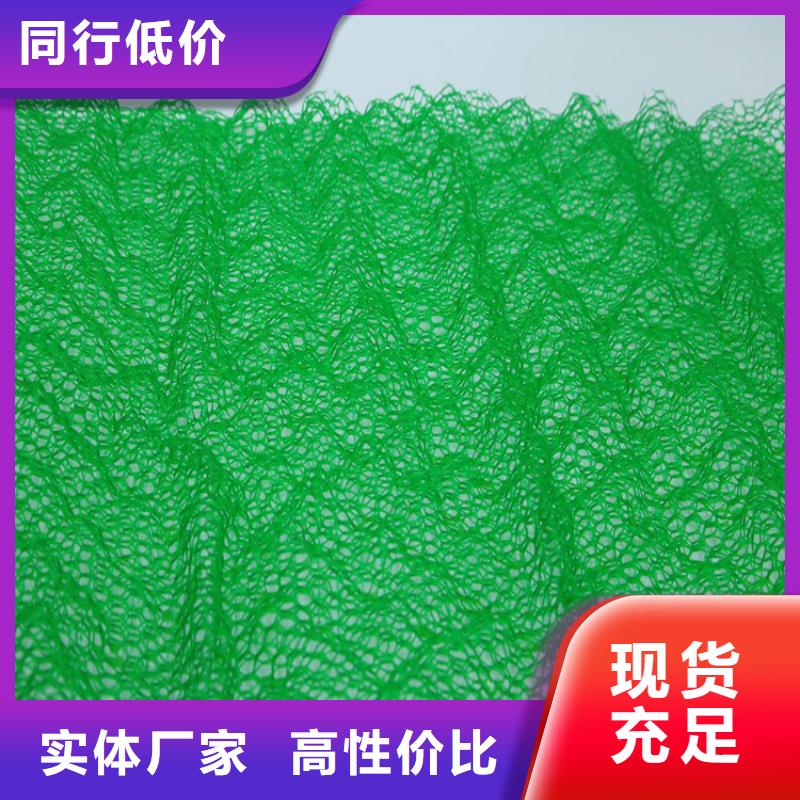 海东三维植草护坡网垫-护坡三维土工网垫