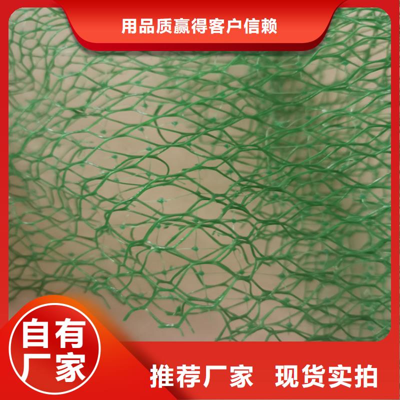 三维植被网-护坡三维植被网原料层层筛选