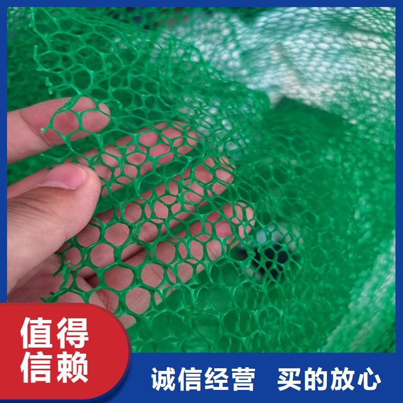 三维护坡植被网垫#绿化塑料严格把控每一处细节