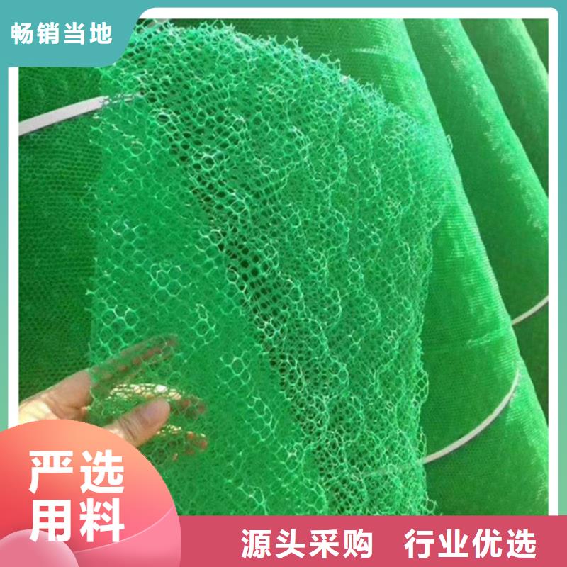 三维护坡加筋网垫#固土绿化同城品牌