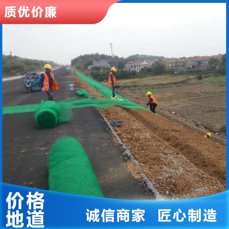 贵州护坡加筋网垫-三维土工网