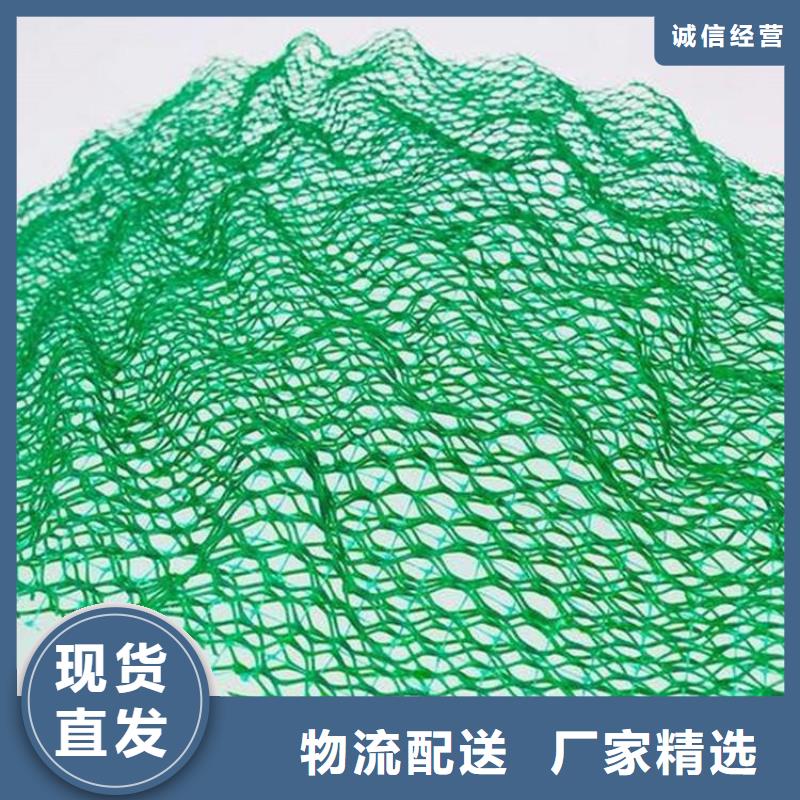 安庆三维植草护坡网垫-EM5三维植被网