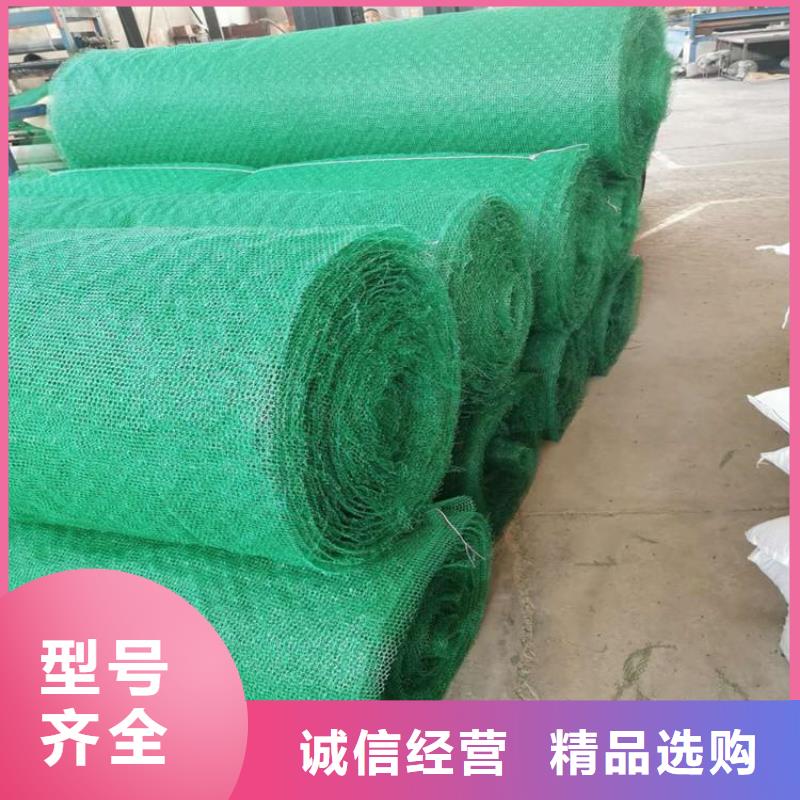 护坡加筋网垫-护坡三维土工网垫品质服务