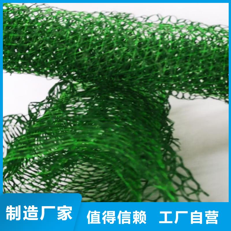 塑料EM3三维护坡加筋网垫专业生产品质保证