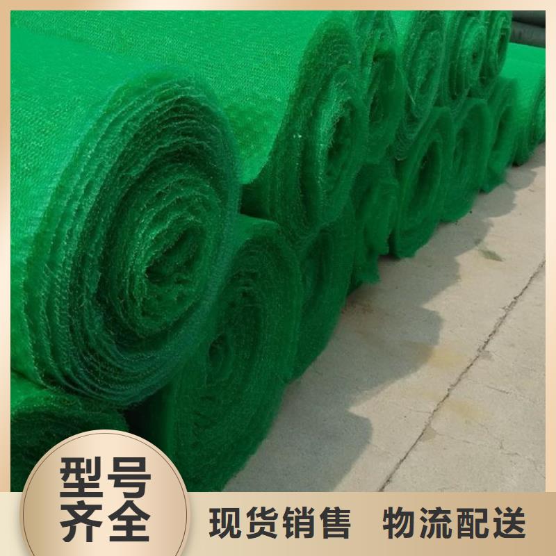 连云港EM3塑料三维护坡植被网垫
