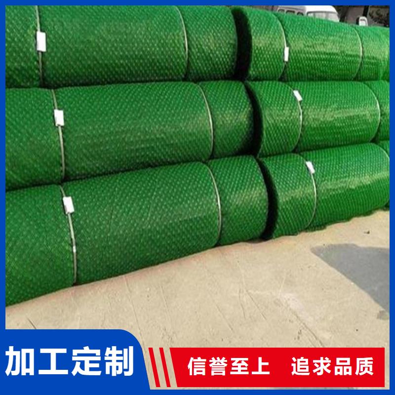 护坡加筋网垫-三维植被网垫支持大批量采购