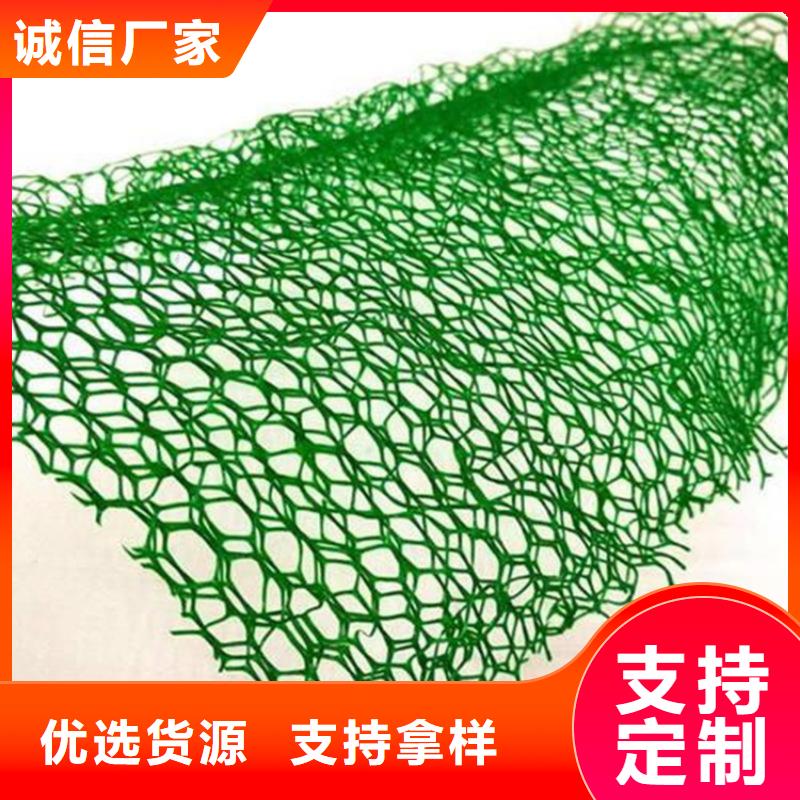 三维植被网-EM3三维土工网垫实体厂家支持定制