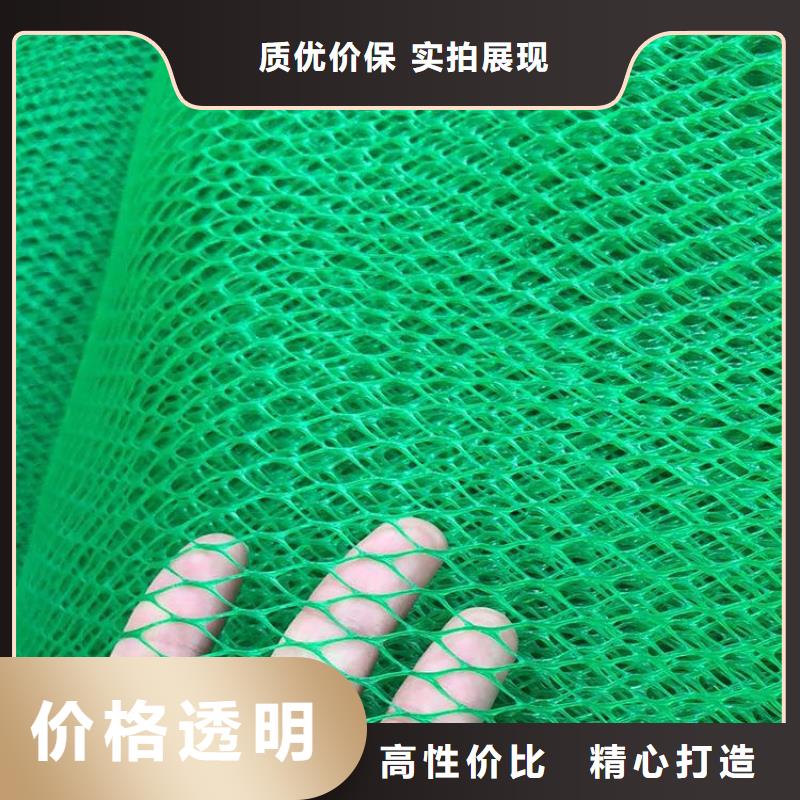 加筋草皮三维固土网垫用途广泛