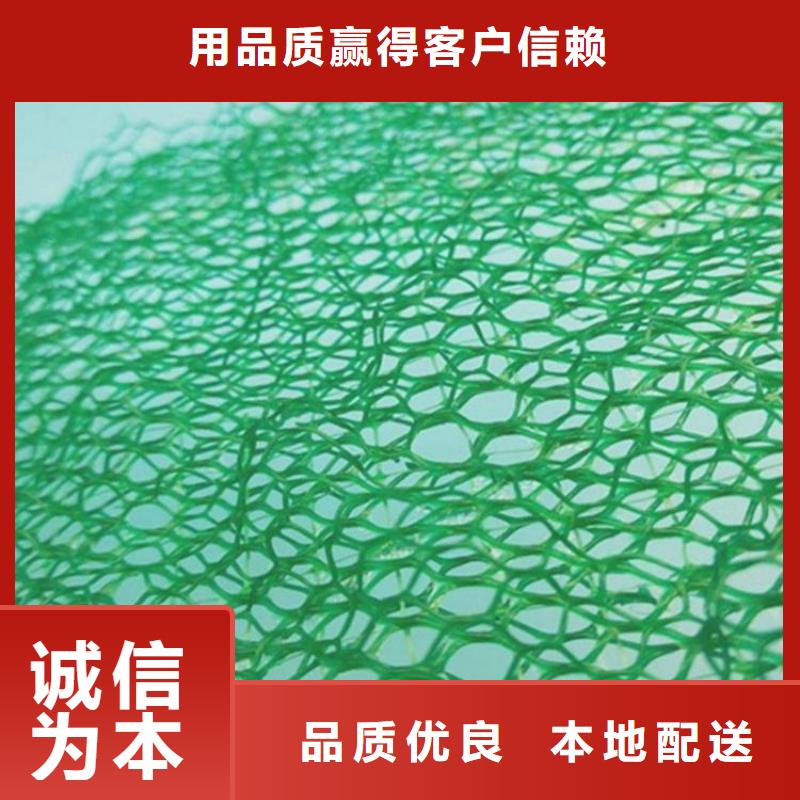 加筋护坡网垫品质保证本地生产商