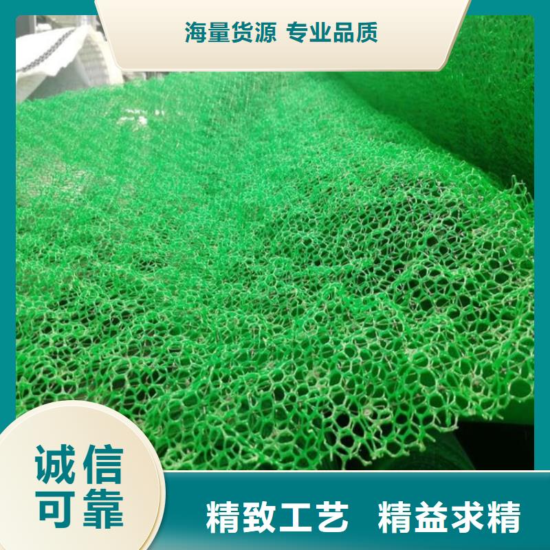 三维护坡植草网垫生产型