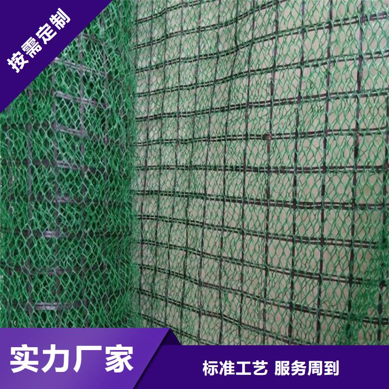 乌海护坡加筋网垫-三维土工网