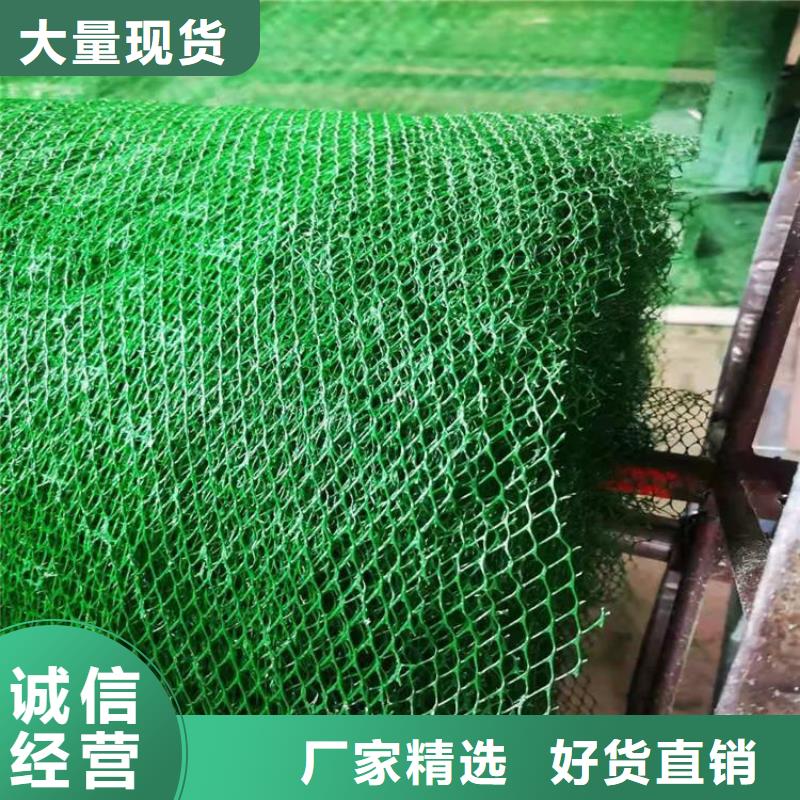 三维固土网垫#EM5绿化当地厂家