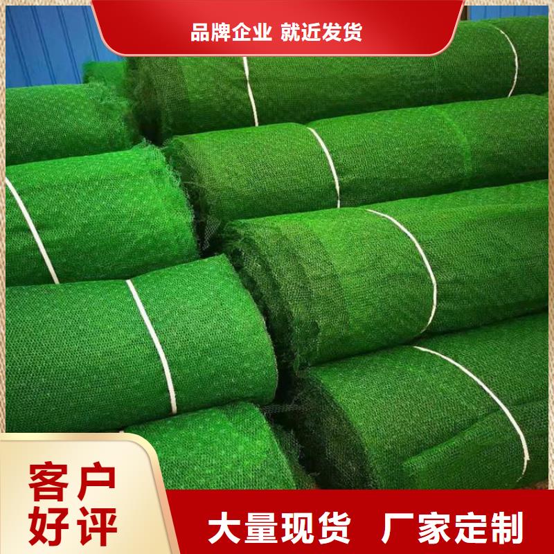 江西护坡加筋网垫-三维网植草护坡现货直供