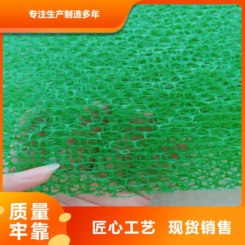 护坡加筋网垫-绿色三维植被网本地公司