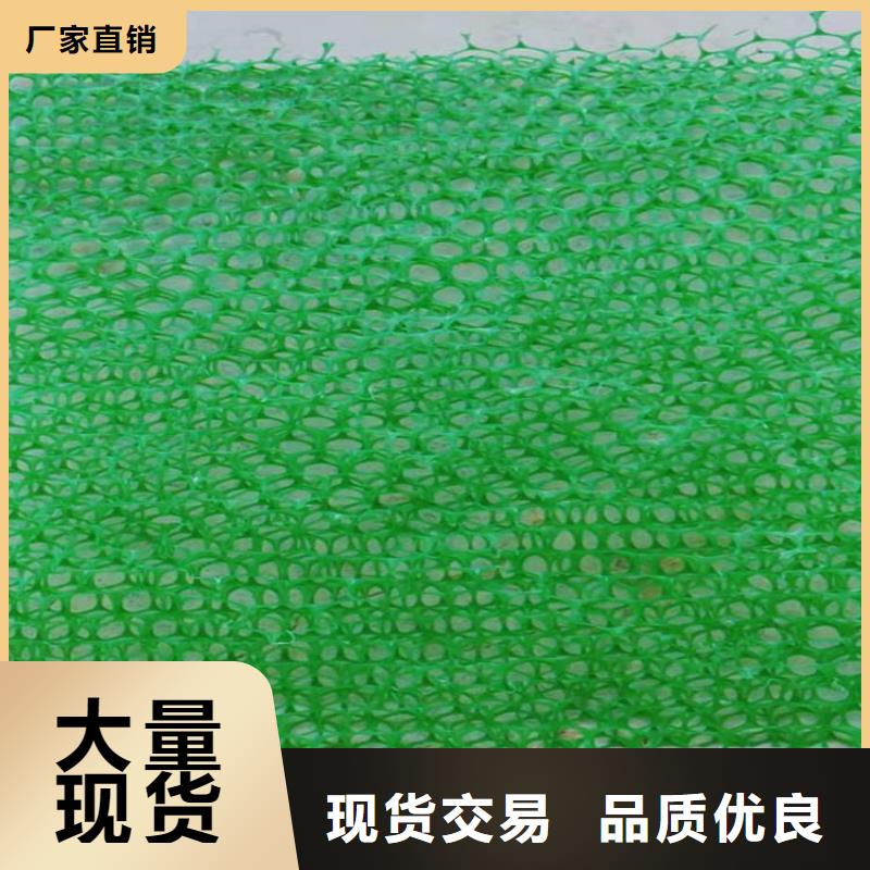 安庆加筋固土三维护坡植被网垫