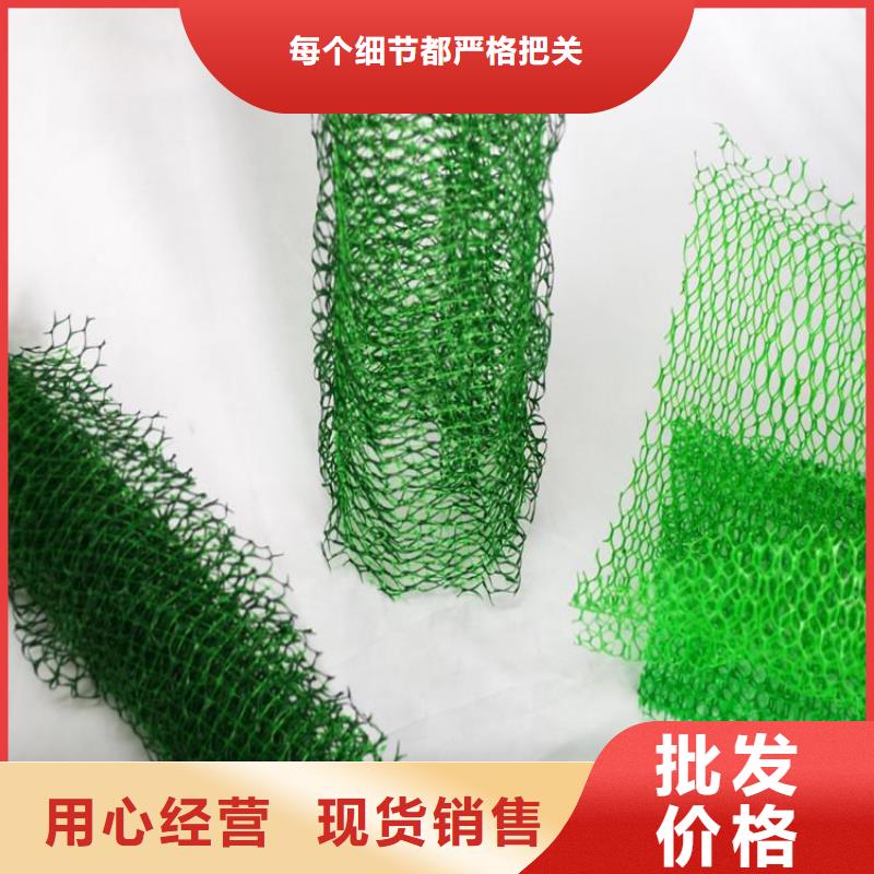 护坡加筋网垫-EM5三维植被网特点厚度现货批发