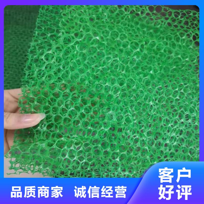 上海固土塑料三维护坡植被网垫