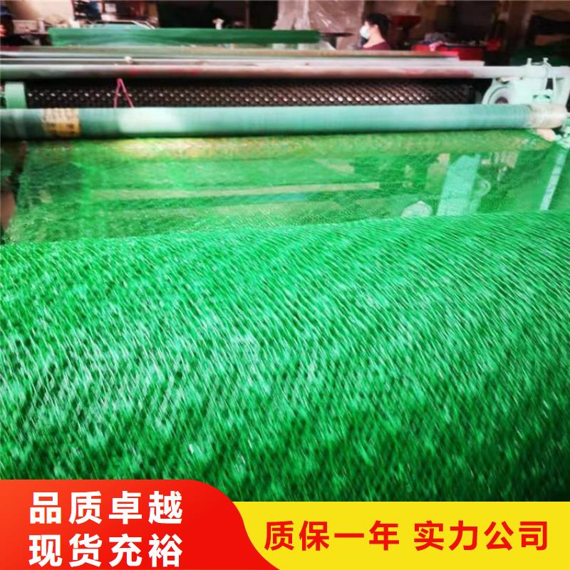 湘潭三维护坡植草网垫厂家价格