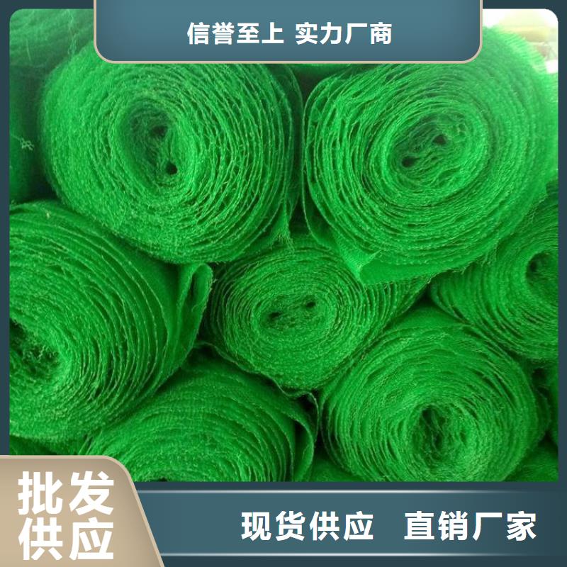 三维固土网垫-植被网性能颜色自有生产工厂