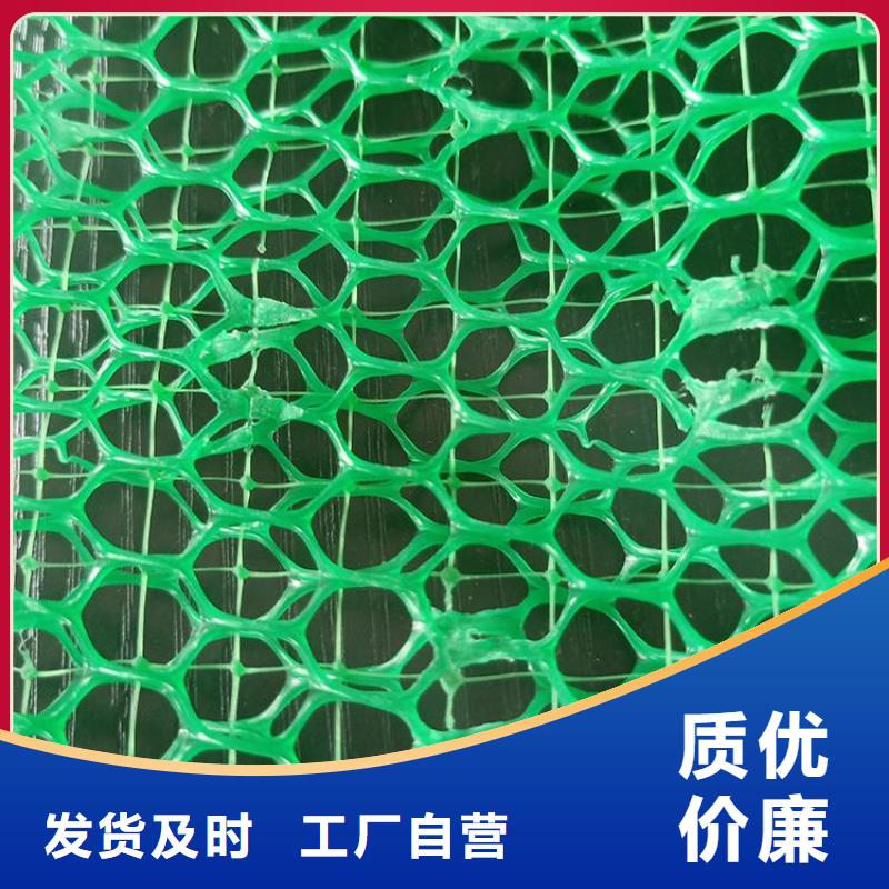 桂林三维土工网垫-绿色三维土工网垫价格优惠