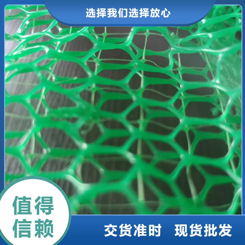 靖江三维护坡植被网垫#护坡塑料